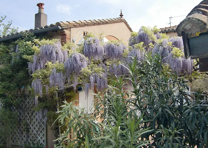 La Villa des Violettes Toulouse